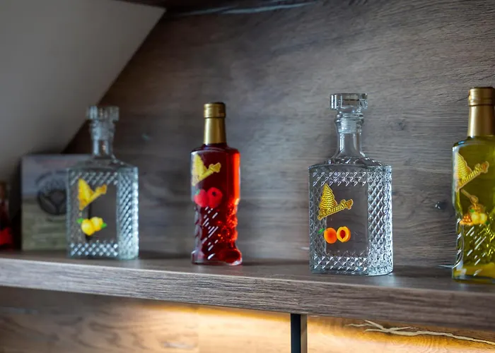 アパート Starlux Centar ズラティボール