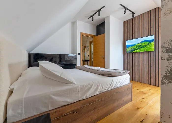 Starlux Centar * ズラティボール