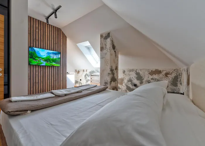 アパート Starlux Centar ズラティボール