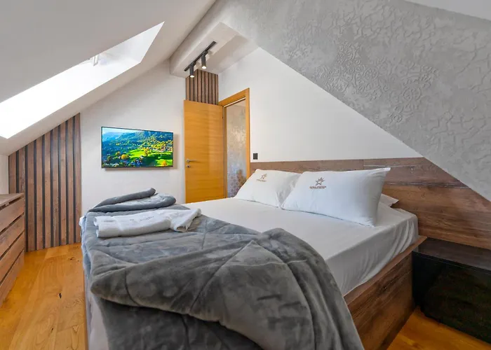 Starlux Centar アパート