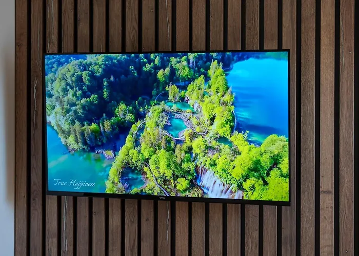 Starlux Centar * ズラティボール